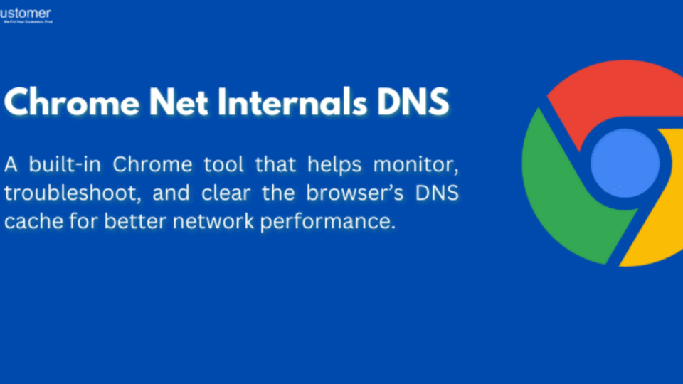 chrome.//net-internals/dns
